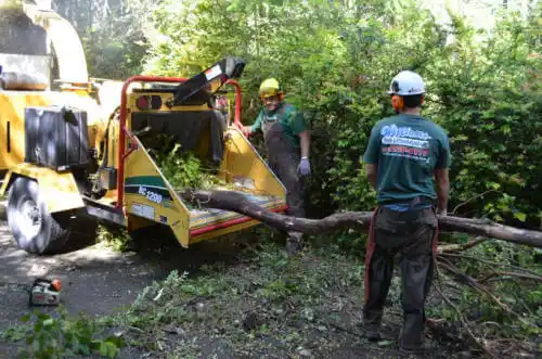 tree services East End